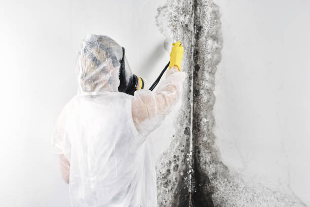 Best Water damage contractors near me  in Lawrenceburg, TN